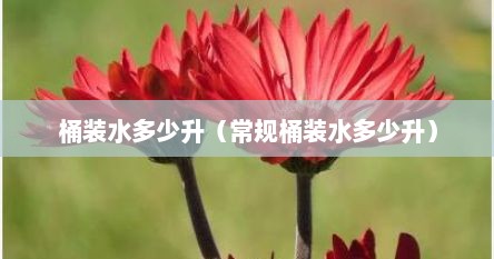 桶装水多少升（常规桶装水多少升）