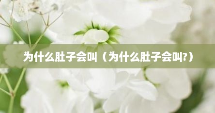 为什么肚子会叫（为什么肚子会叫?）