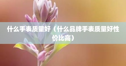 什么手表质量好（什么品牌手表质量好性价比高）