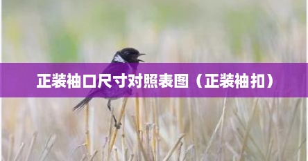 正装袖口尺寸对照表图（正装袖扣）