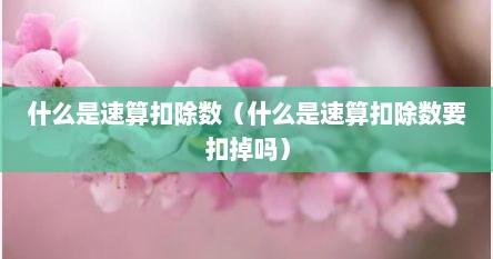 什么是速算扣除数（什么是速算扣除数要扣掉吗）