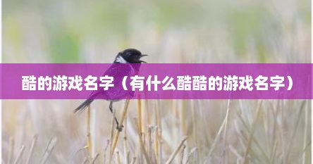 酷的游戏名字(有什么酷酷的游戏名字)