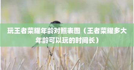 玩王者荣耀年龄对照表图（王者荣耀多大年龄可以玩的时间长）