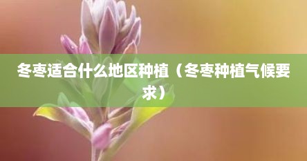冬枣适合什么地区种植（冬枣种植气候要求）