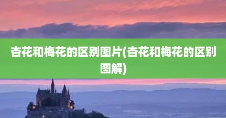 杏花和梅花的区别图片(杏花和梅花的区别图解)