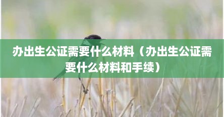 办出生公证需要什么材料（办出生公证需要什么材料和手续）