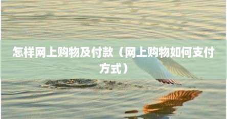 怎样网上购物及付款（网上购物如何支付方式）