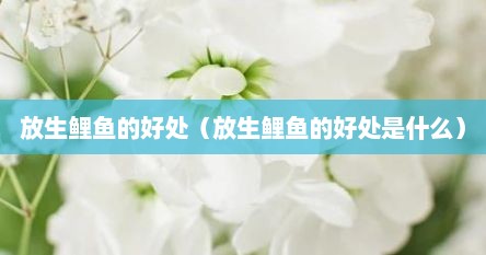 放生鲤鱼的好处（放生鲤鱼的好处是什么）