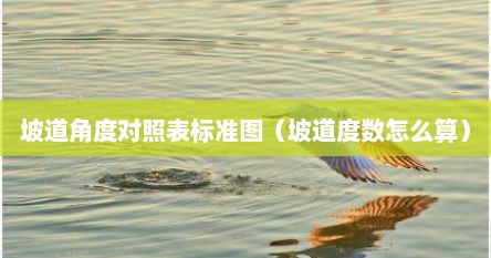 坡道角度对照表标准图（坡道度数怎么算）