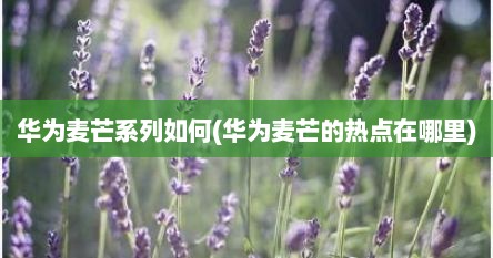 华为麦芒系列如何(华为麦芒的热点在哪里)