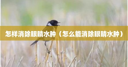 怎样消除眼睛水肿（怎么能消除眼睛水肿）