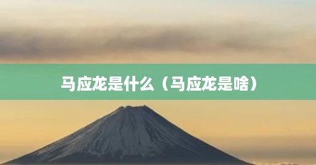 马应龙是什么（马应龙是啥）
