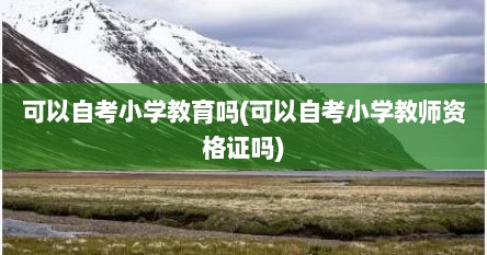 可以自考小学教育吗(可以自考小学教师资格证吗)