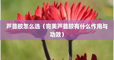 芦荟胶怎么选（完美芦荟胶有什么作用与功效）