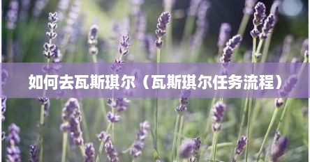 如何去瓦斯琪尔（瓦斯琪尔任务流程）