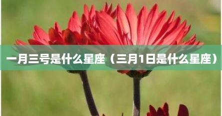 一月三号是什么星座（三月1日是什么星座）