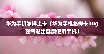华为手机怎样上卡（华为手机怎样卡bug强制退出健康使用手机）