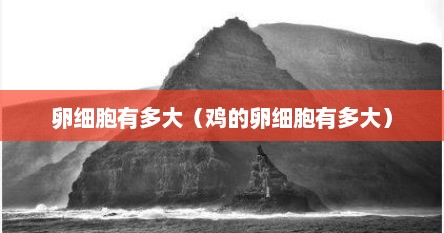卵细胞有多大（鸡的卵细胞有多大）