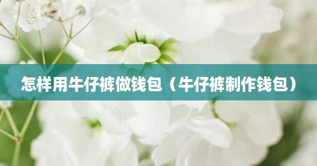 怎样用牛仔裤做钱包（牛仔裤制作钱包）