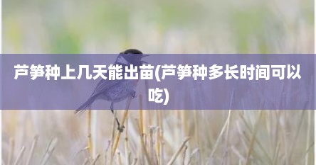 芦笋种上几天能出苗(芦笋种多长时间可以吃)