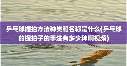 乒乓球握拍方法种类和名称是什么(乒乓球的握拍子的手法有多少种啊视频)