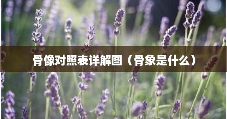 骨像对照表详解图（骨象是什么）