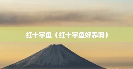 红十字鱼（红十字鱼好养吗）