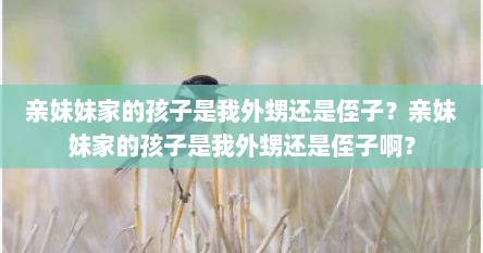 亲妹妹家的孩子是我外甥还是侄子?亲妹妹家的孩子是我外甥还是侄子啊?