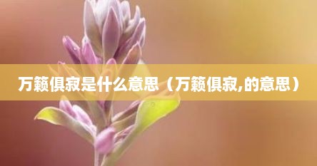万籁俱寂是什么意思（万籁俱寂,的意思）