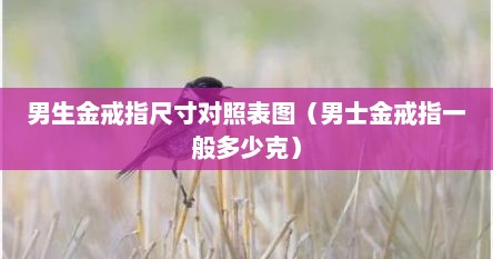 男生金戒指尺寸对照表图（男士金戒指一般多少克）
