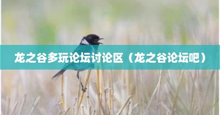 龙之谷多玩论坛讨论区（龙之谷论坛吧）