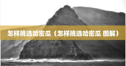 怎样挑选哈密瓜（怎样挑选哈密瓜 图解）