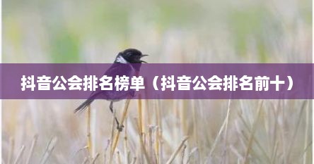 抖音公会排名榜单（抖音公会排名前十）
