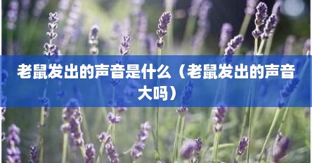 老鼠发出的声音拟声词（老鼠发出来的声音是什么）