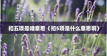 扣九项是什么意思（扣五是啥意思）