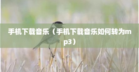 手机下载音乐（手机下载音乐如何转为mp3）