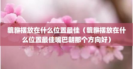 貔貅摆放在什么位置最佳（貔貅摆放在什么位置最佳嘴巴朝那个方向好）