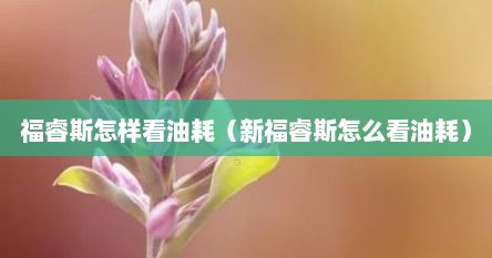 福睿斯怎样看油耗（新福睿斯怎么看油耗）