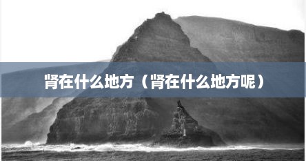 肾在什么地方（肾在什么地方呢）