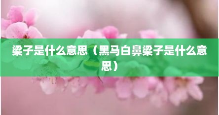 梁子是什么意思（黑马白鼻梁子是什么意思）