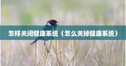 怎样关闭健康系统（怎么关掉健康系统）