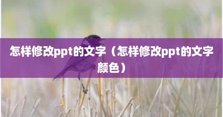 怎样修改ppt的文字（怎样修改ppt的文字颜色）