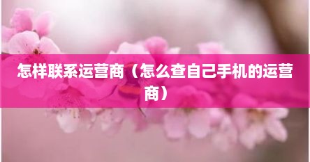 怎样联系运营商（怎么查自己手机的运营商）