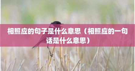 相照应的句子是什么意思（相照应的一句话是什么意思）