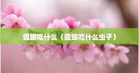 螳螂吃什么（螳螂吃什么虫子）