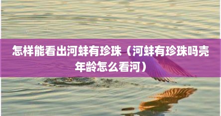 怎样能看出河蚌有珍珠（河蚌有珍珠吗壳年龄怎么看河）