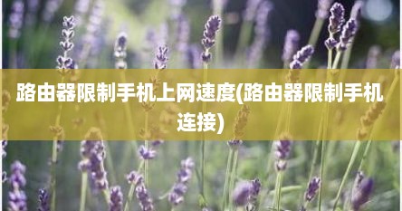 路由器限制手机上网速度(路由器限制手机连接)