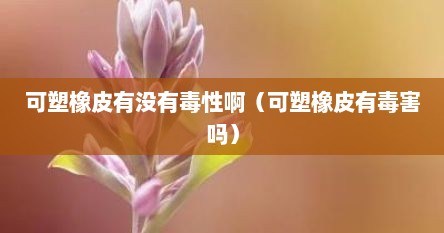 可塑橡皮有没有毒性啊（可塑橡皮有毒害吗）