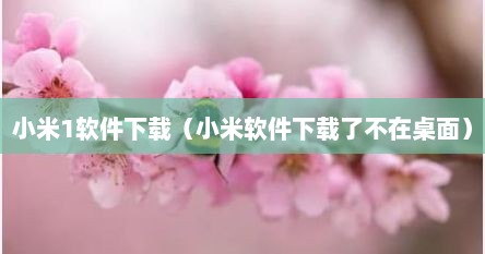 小米1S软件下载（小米1.0系统下载后能不能直接用）