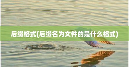 后缀格式(后缀名为文件的是什么格式)